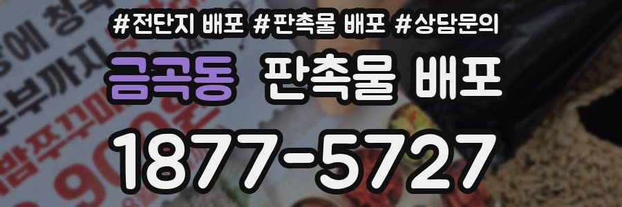 금곡동 판촉물 배포