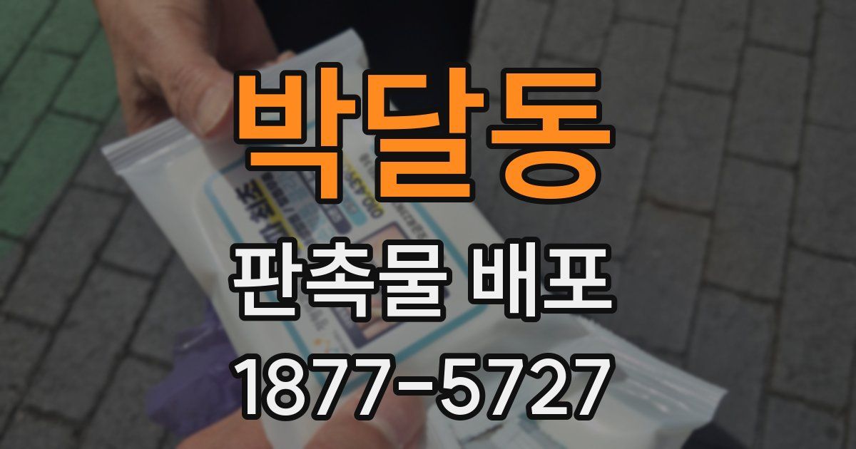 박달동 판촉물 배포