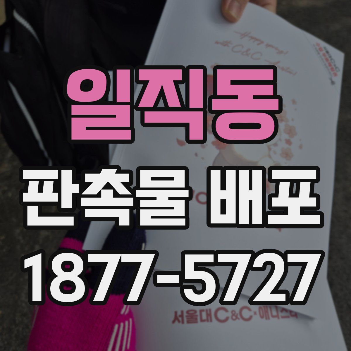 일직동 판촉물 배포