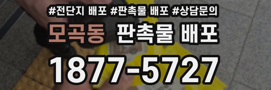 모곡동 판촉물 배포
