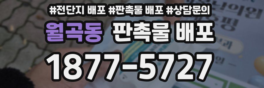 월곡동 판촉물 배포