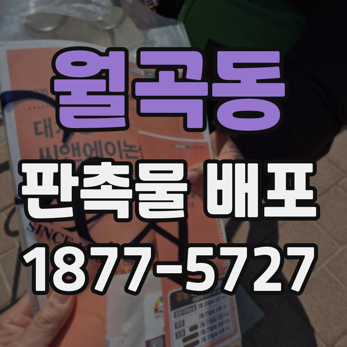 월곡동 판촉물 배포