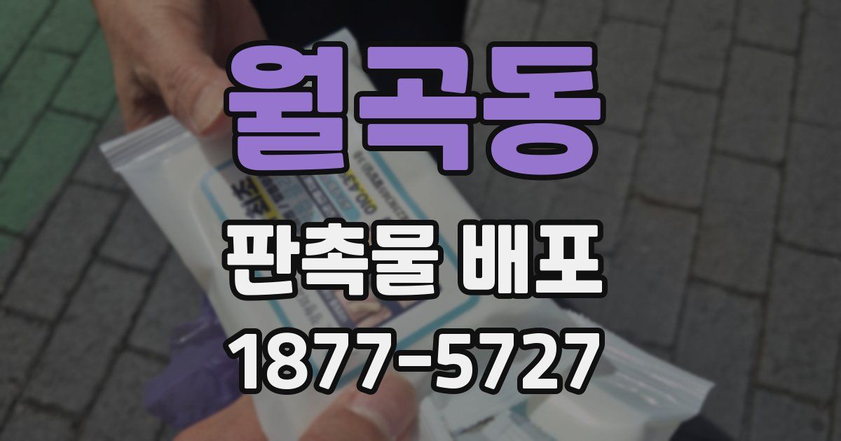 월곡동 판촉물 배포