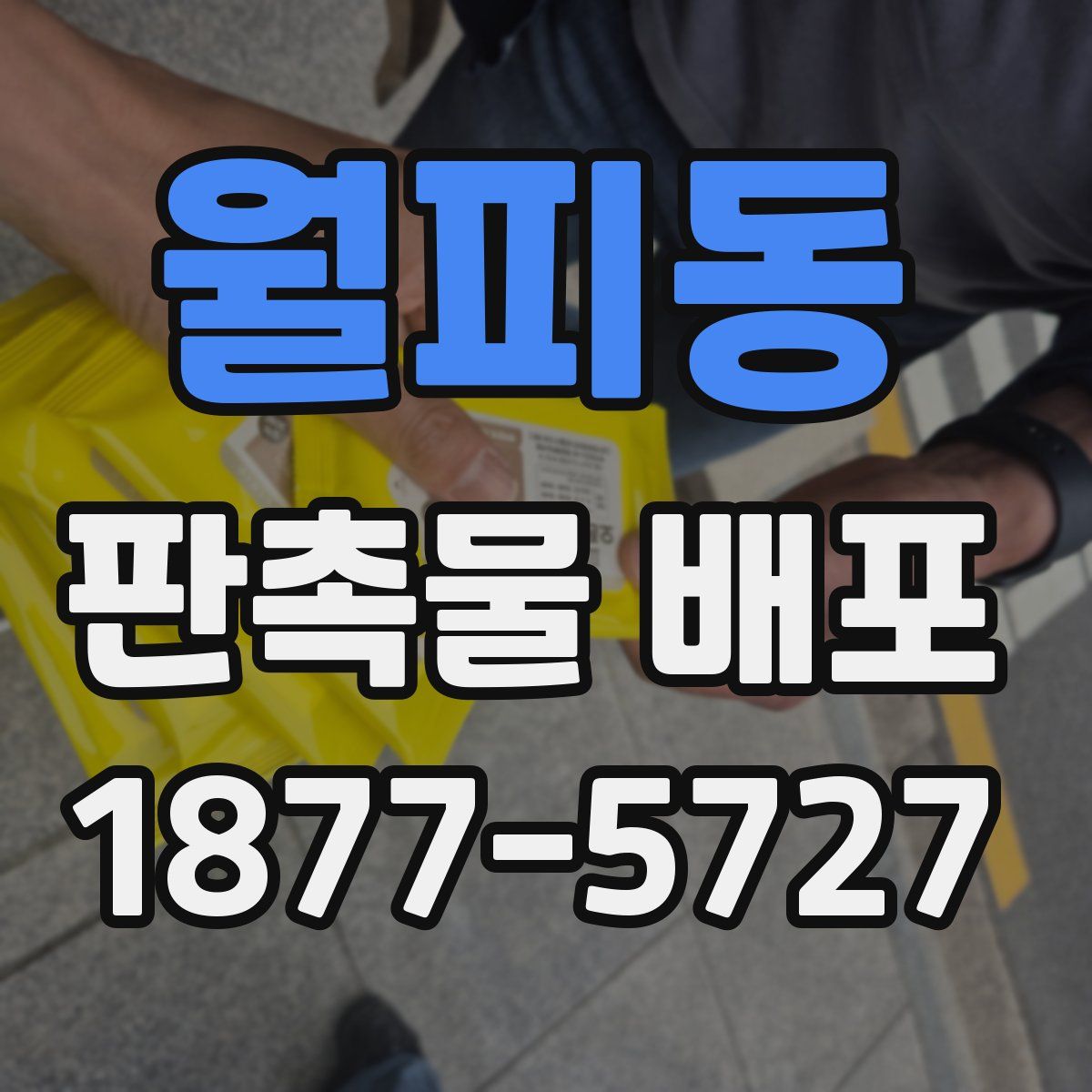 월피동 판촉물 배포