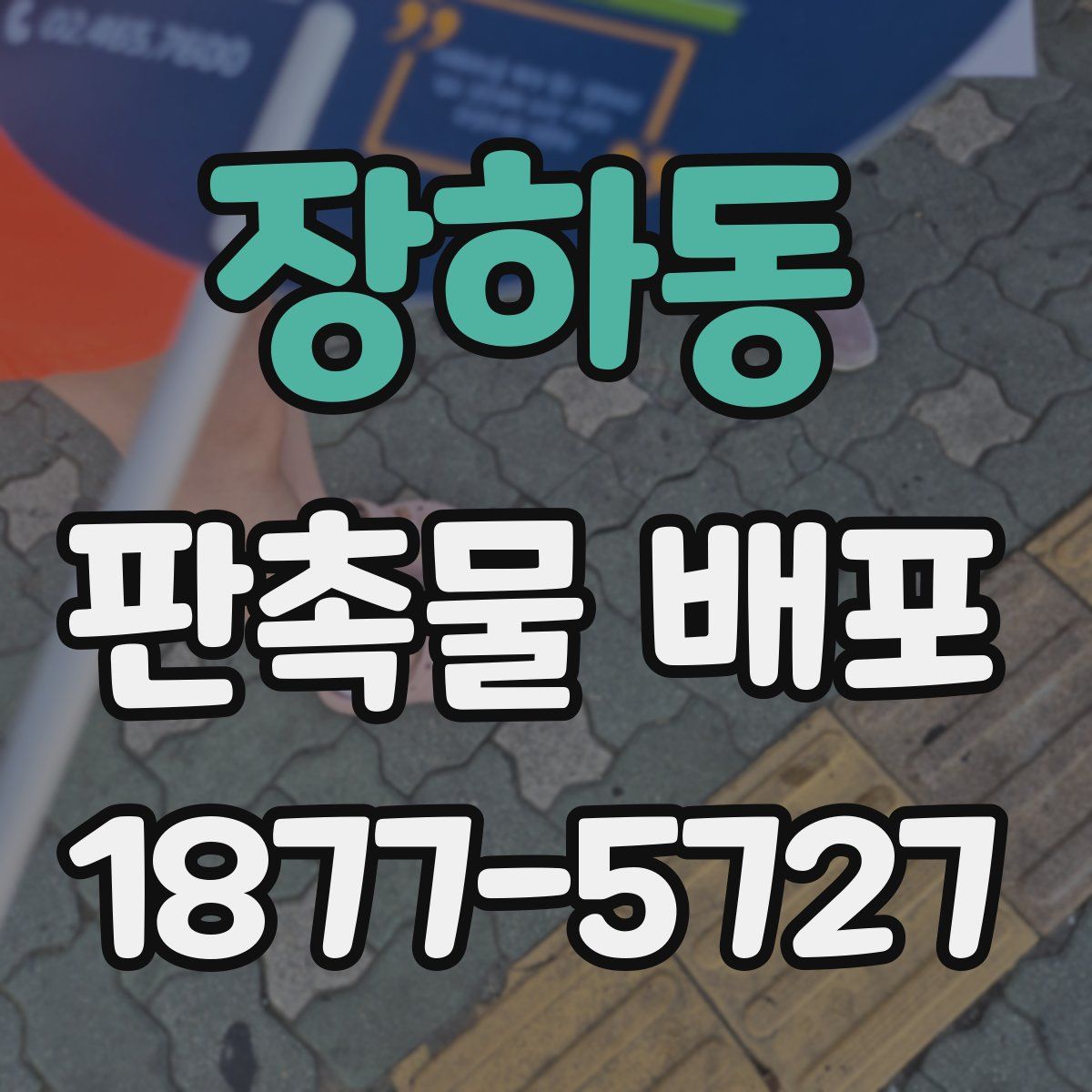 장하동 판촉물 배포