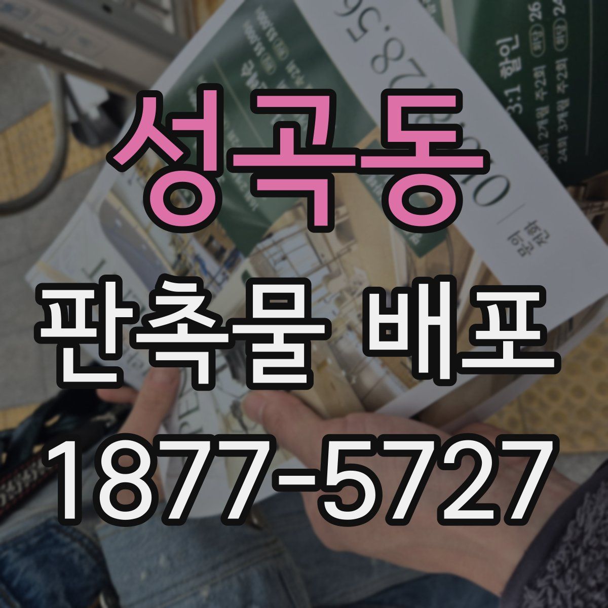 성곡동 판촉물 배포