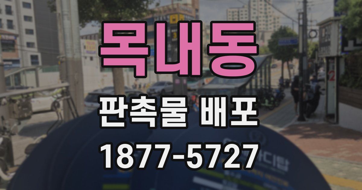 목내동 판촉물 배포