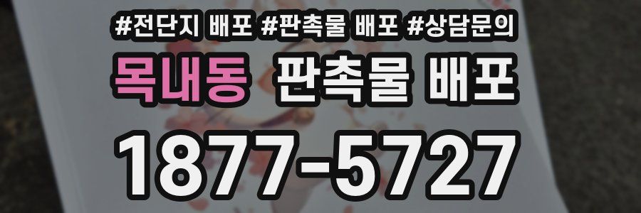 목내동 판촉물 배포