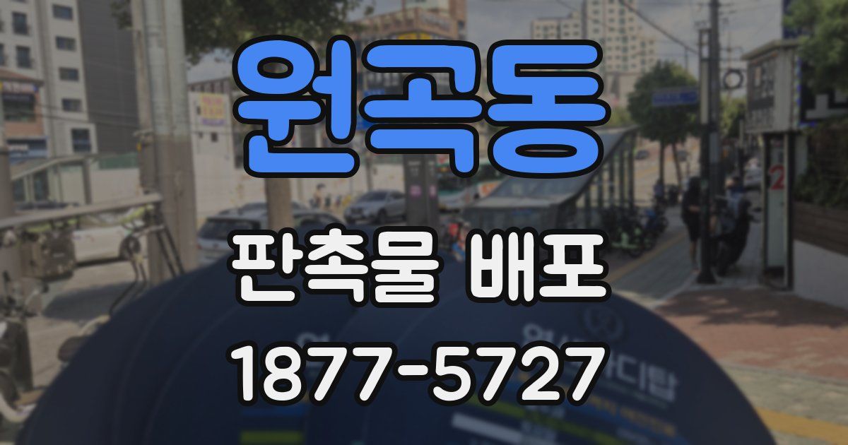 원곡동 판촉물 배포