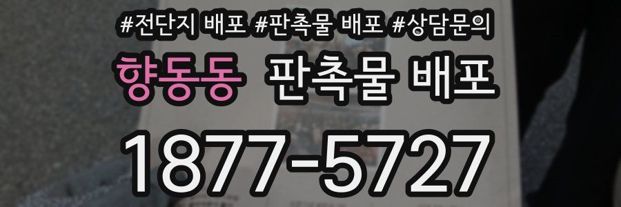 향동동 판촉물 배포