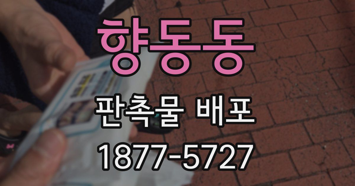 향동동 판촉물 배포