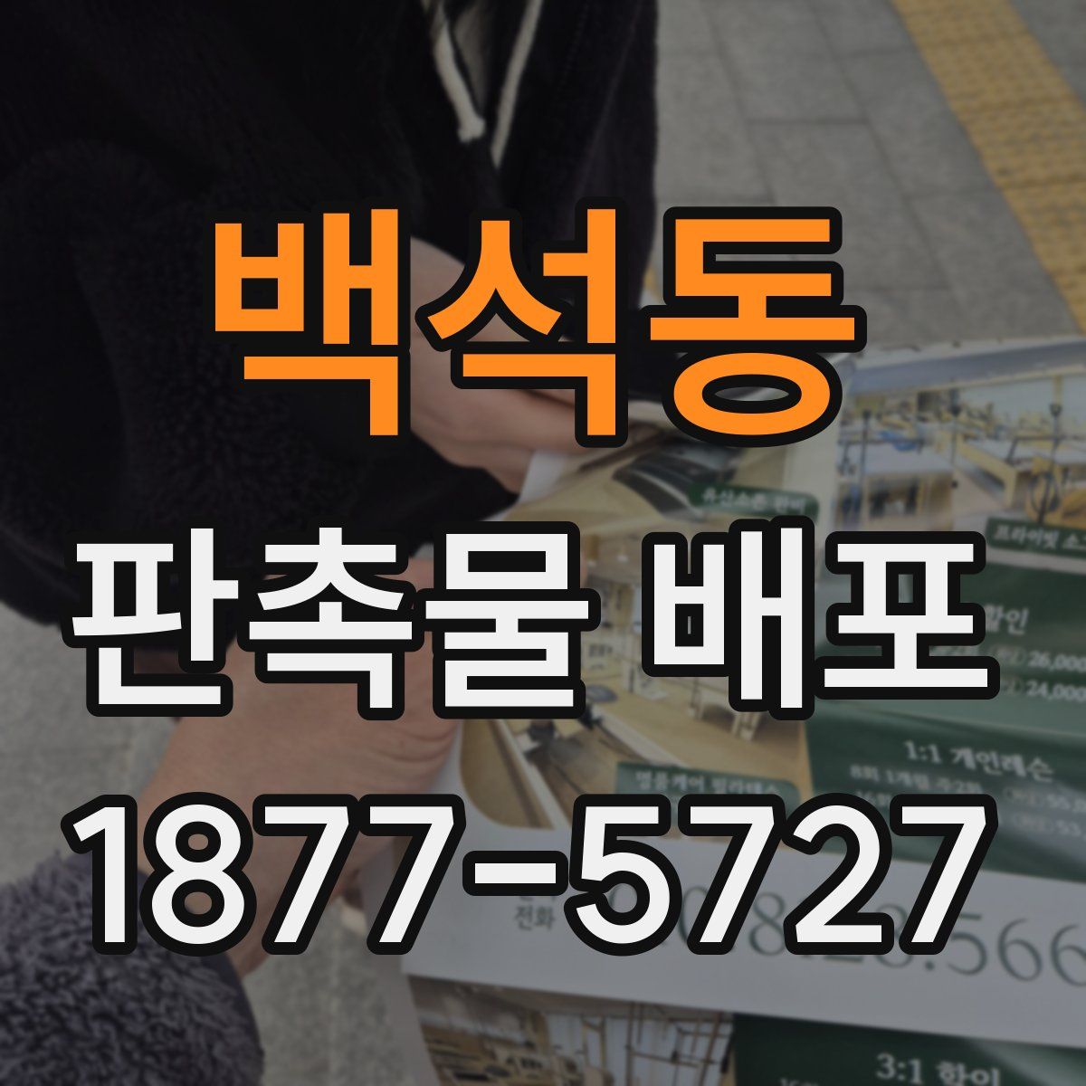 백석동 판촉물 배포
