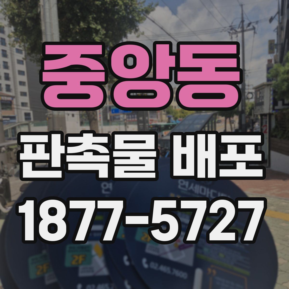 중앙동 판촉물 배포