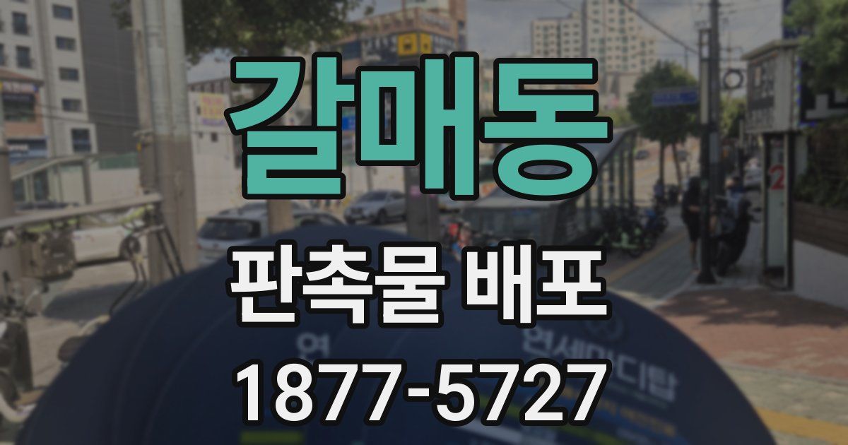 갈매동 판촉물 배포