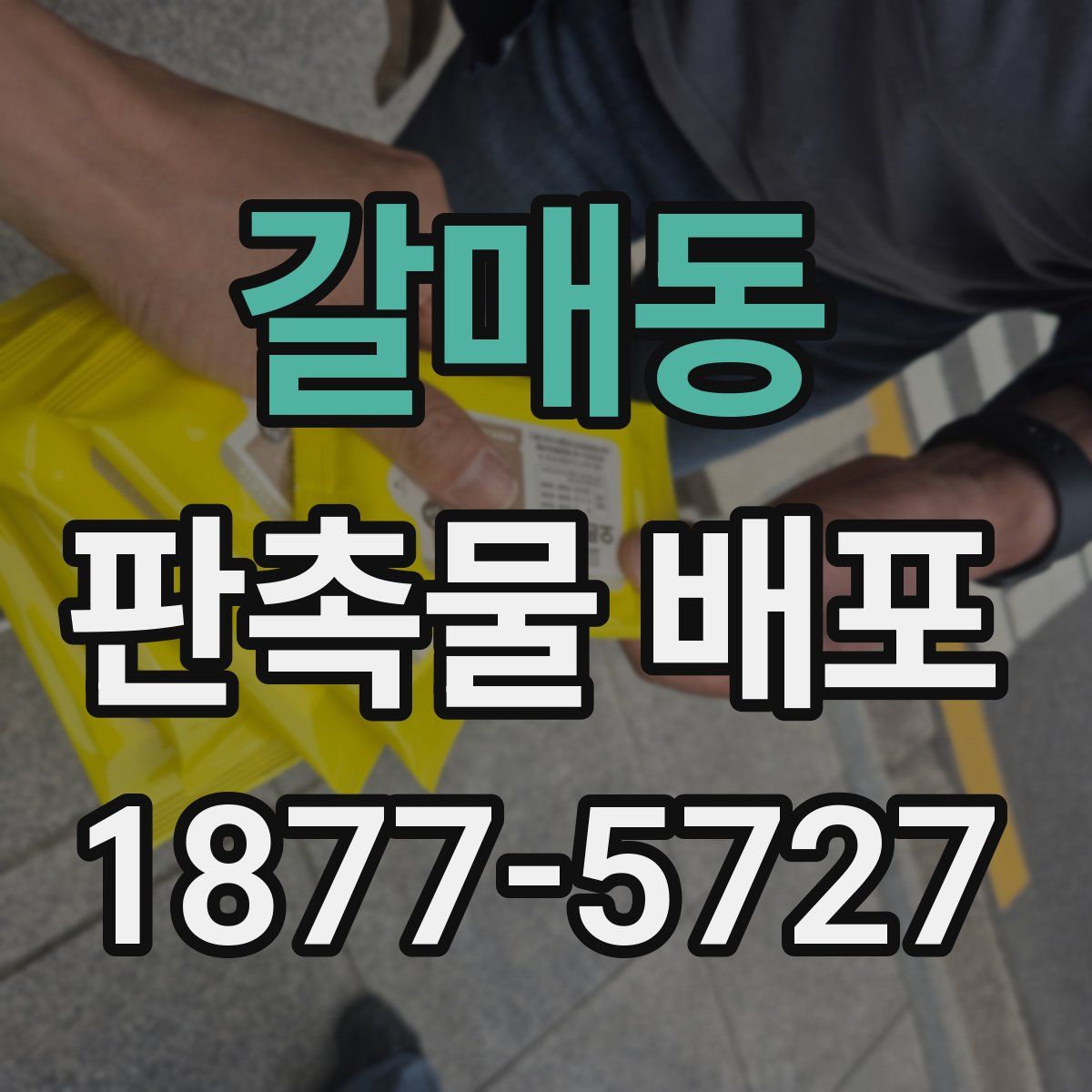 갈매동 판촉물 배포