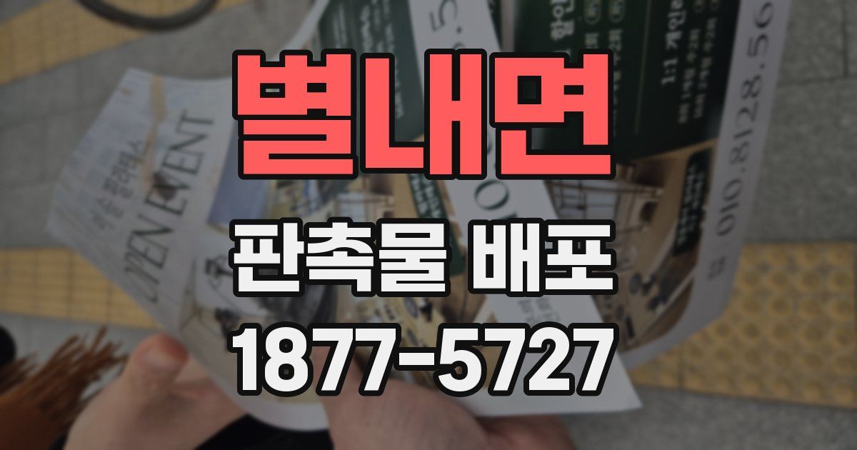 별내면 판촉물 배포