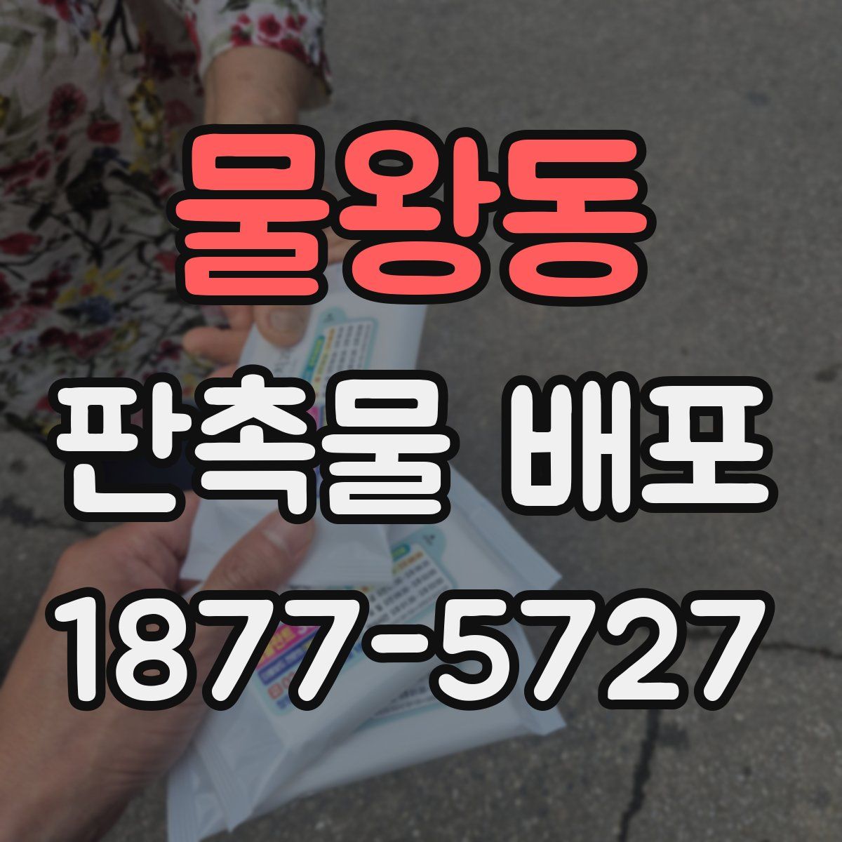 물왕동 판촉물 배포