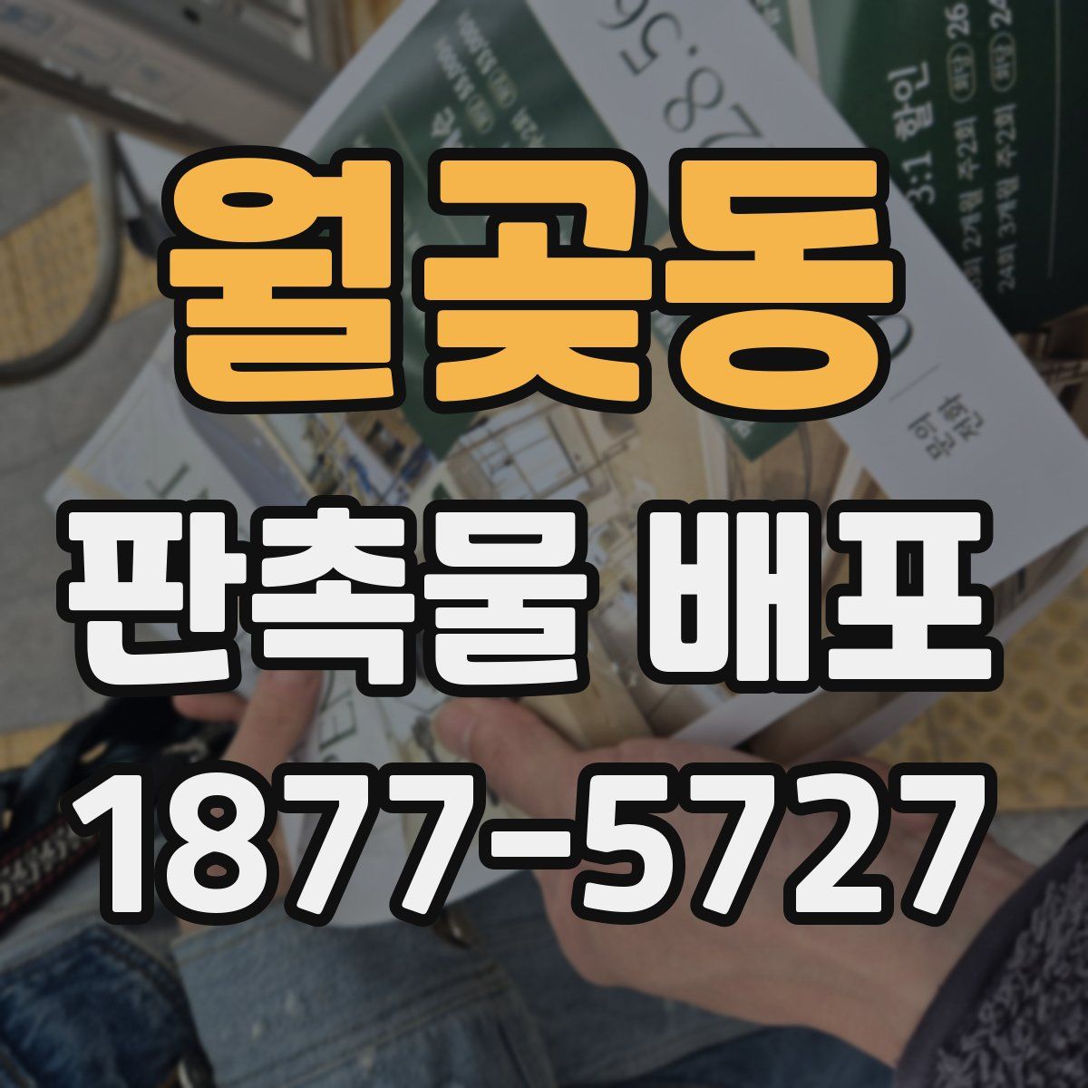 월곶동 판촉물 배포