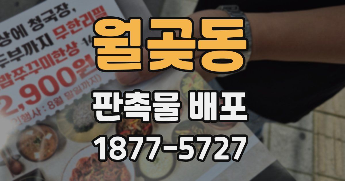 월곶동 판촉물 배포