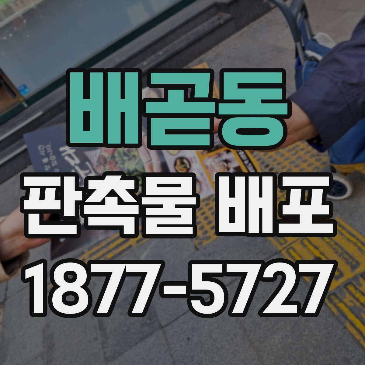 배곧동 판촉물 배포