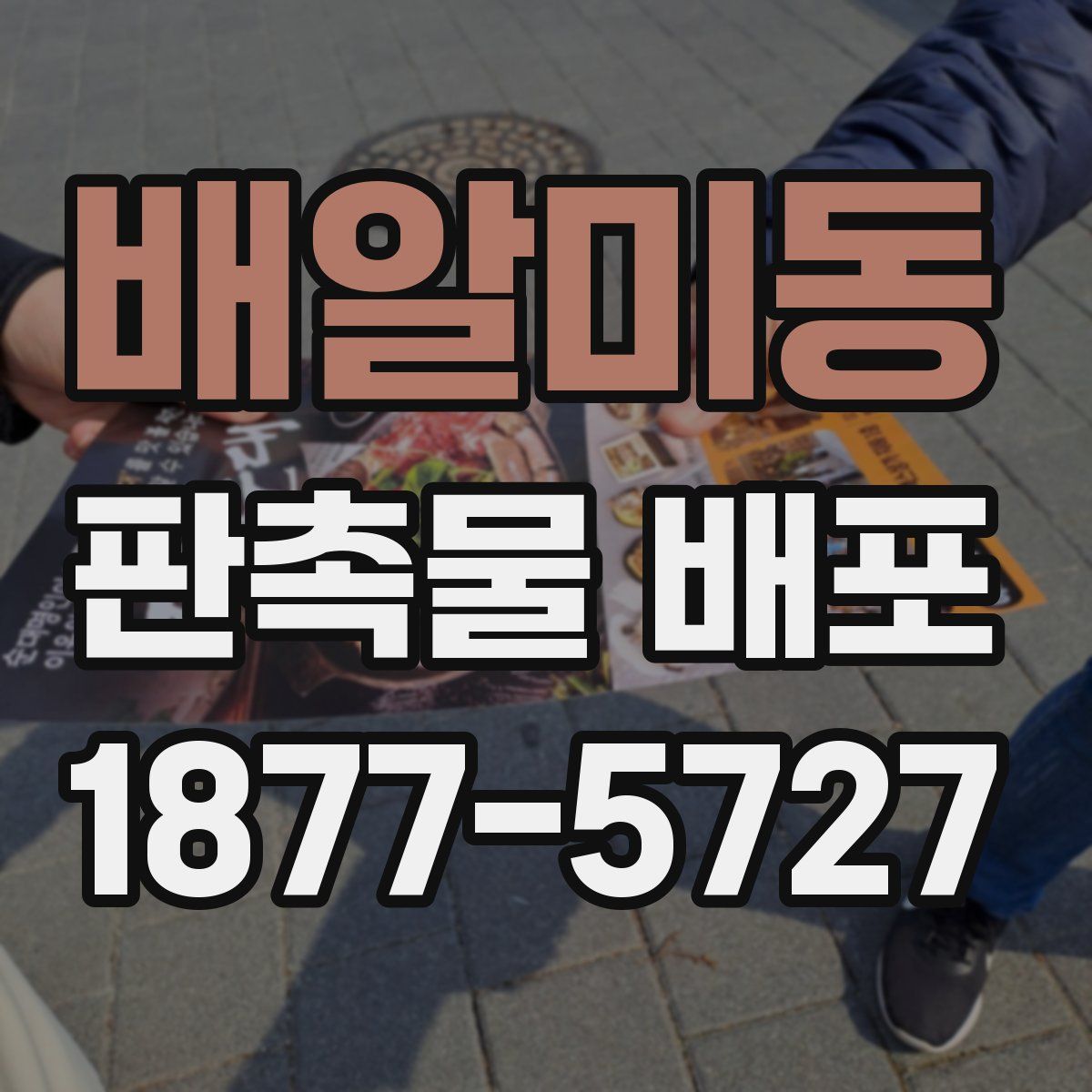 배알미동 판촉물 배포