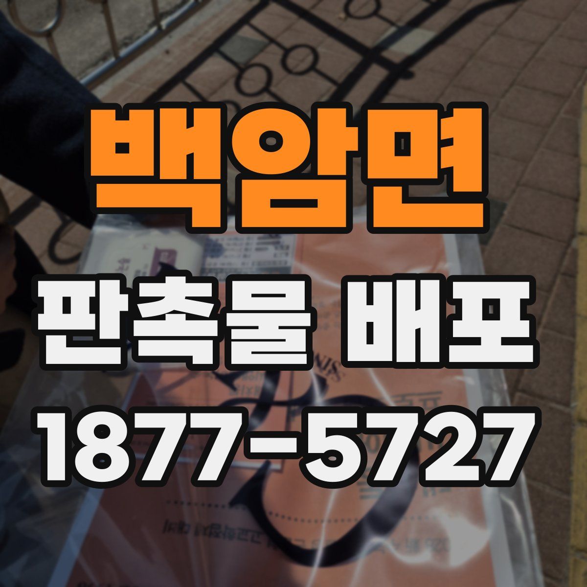 백암면 판촉물 배포