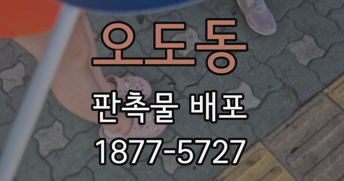 오도동 판촉물 배포