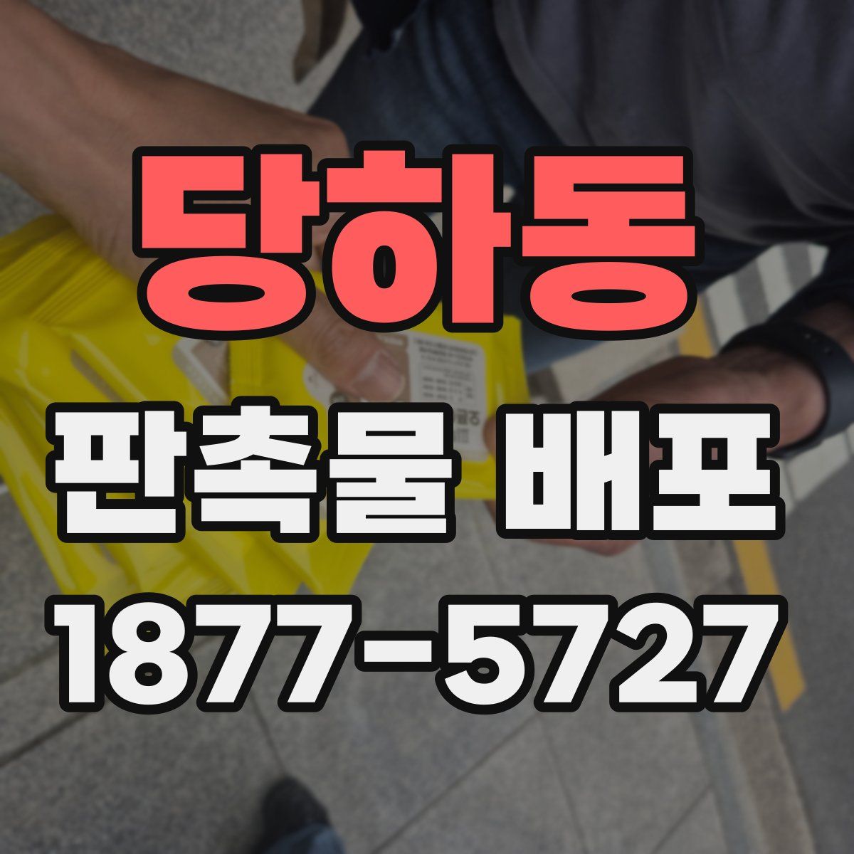 당하동 판촉물 배포