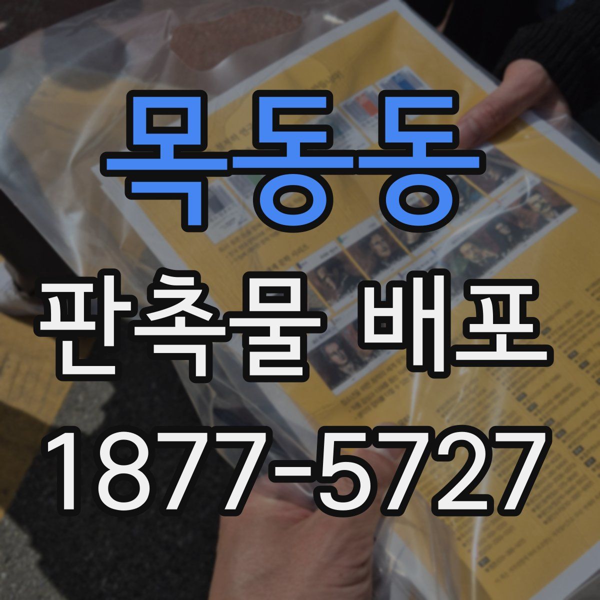 목동동 판촉물 배포