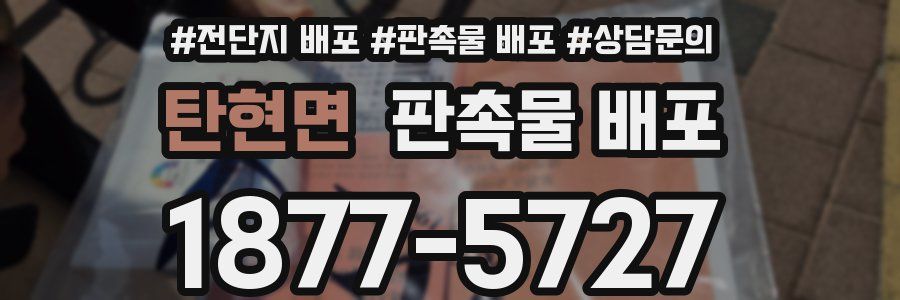 탄현면 판촉물 배포
