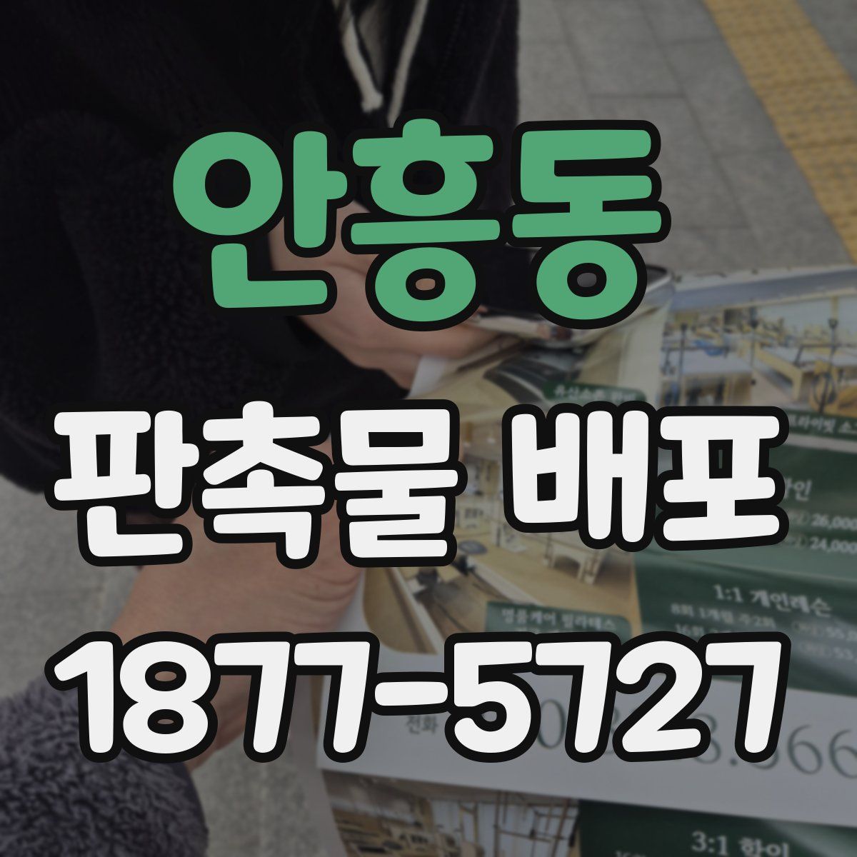 안흥동 판촉물 배포