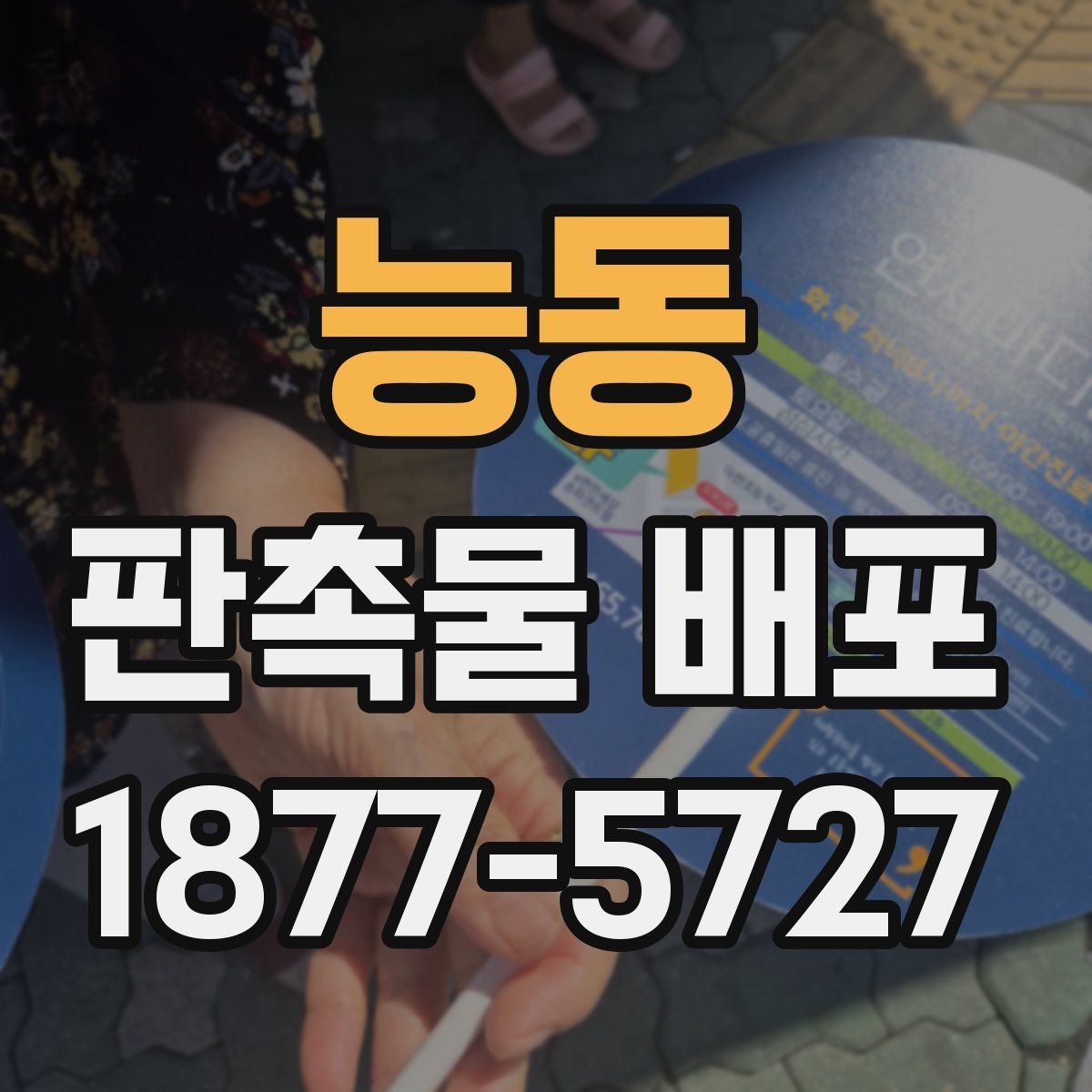 능동 판촉물 배포