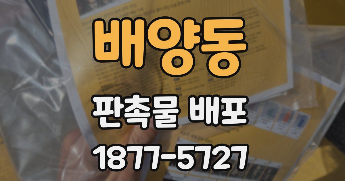 배양동 판촉물 배포