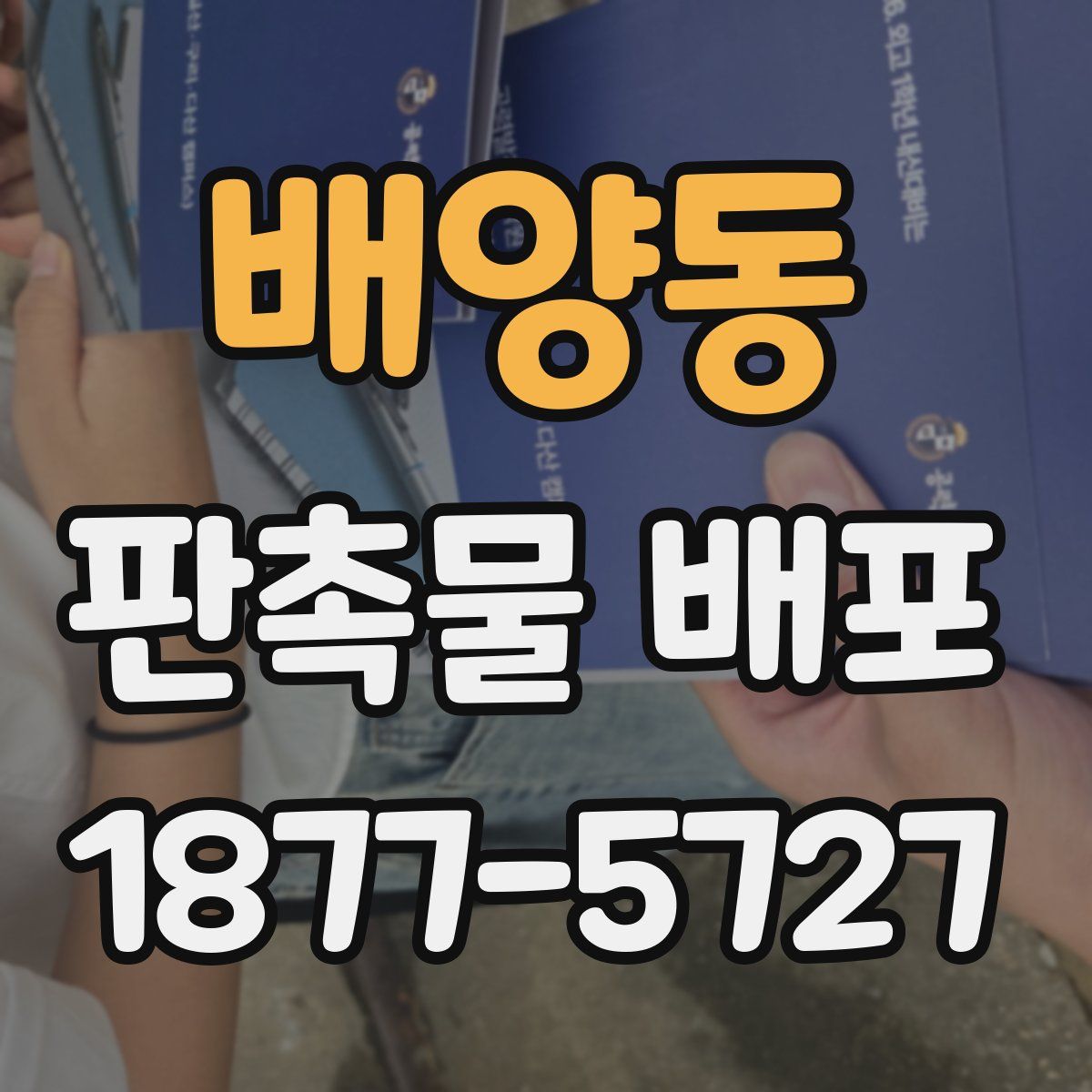배양동 판촉물 배포