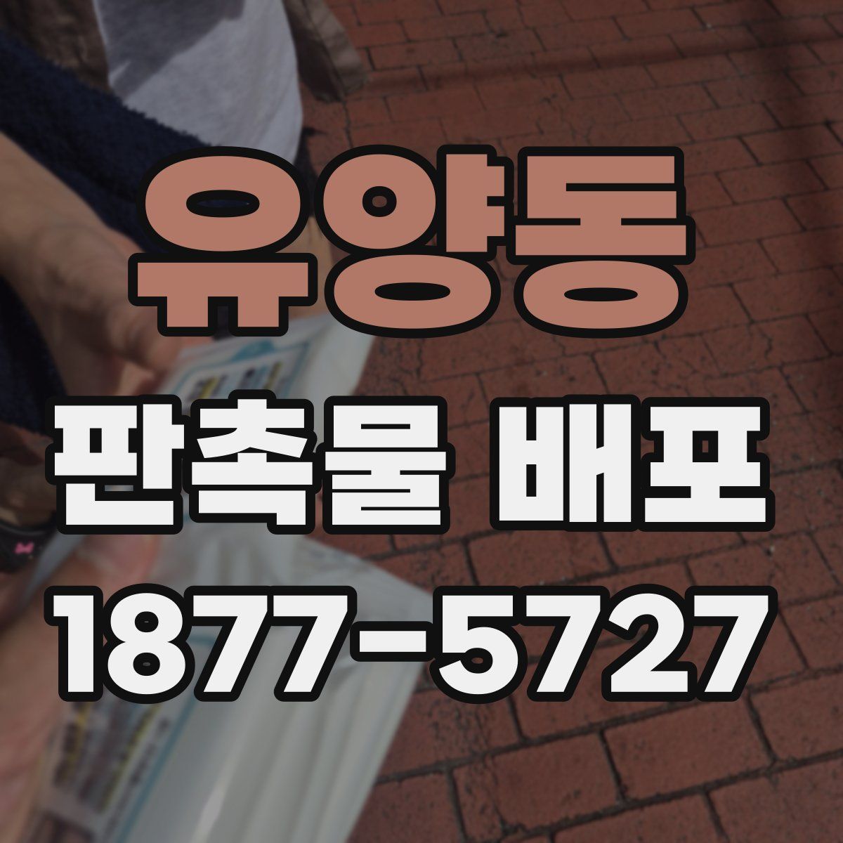 유양동 판촉물 배포