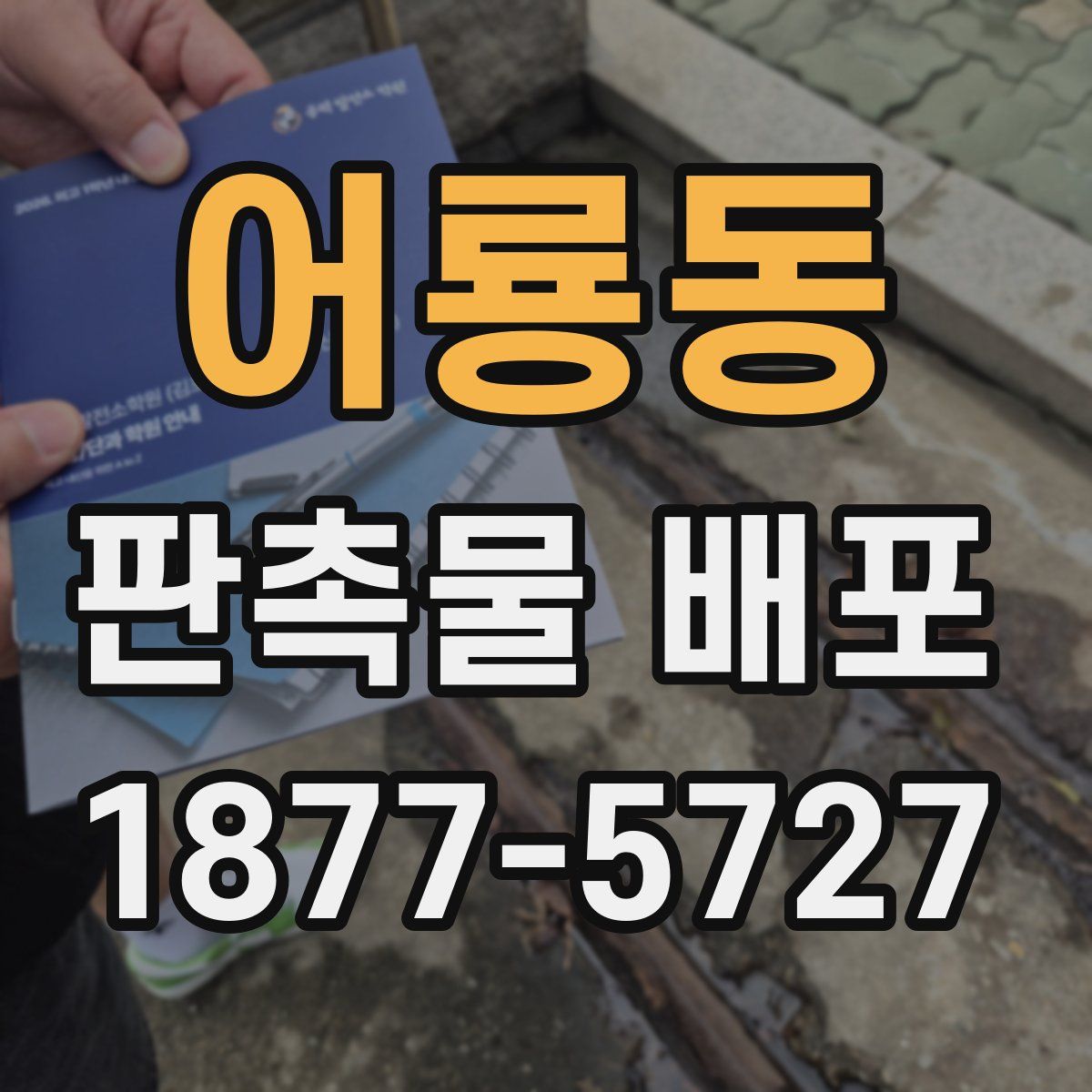 어룡동 판촉물 배포