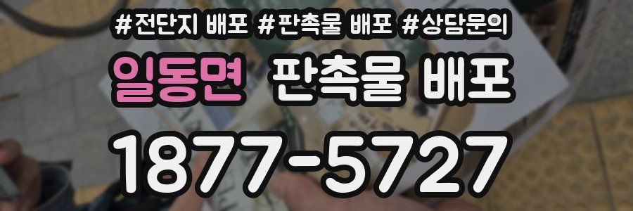 일동면 판촉물 배포