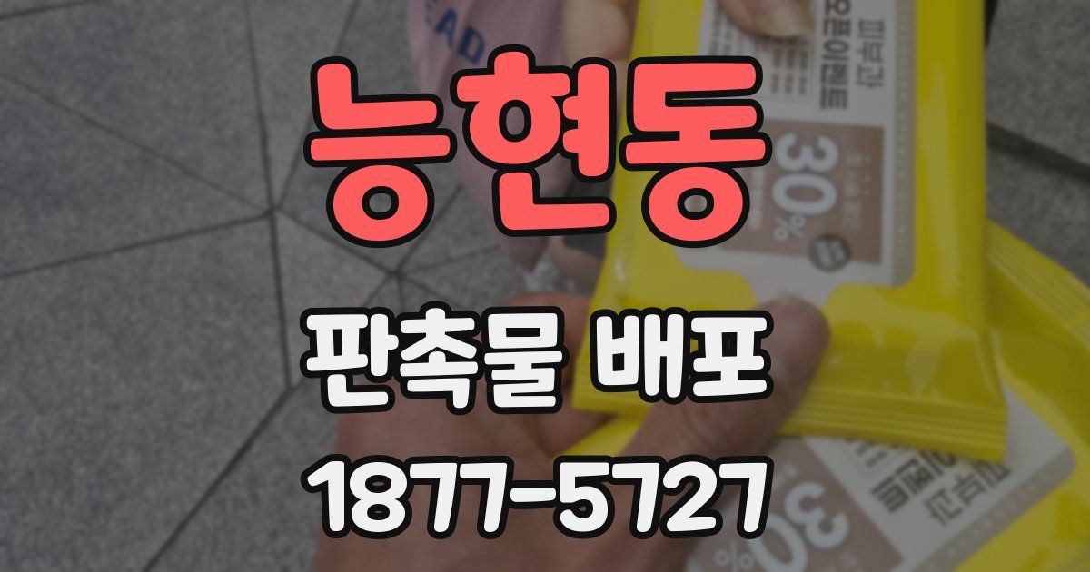 능현동 판촉물 배포
