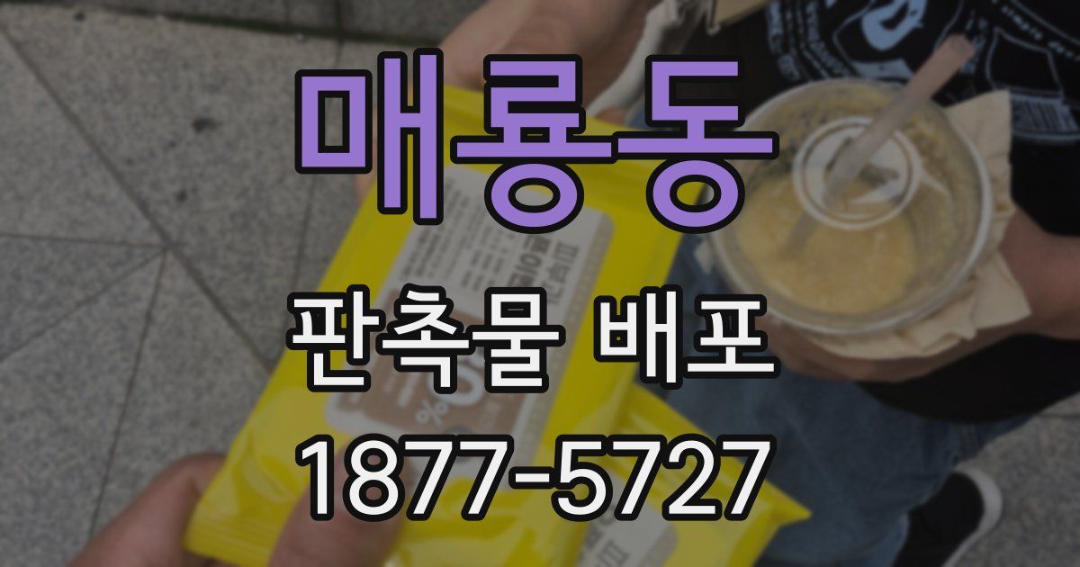매룡동 판촉물 배포