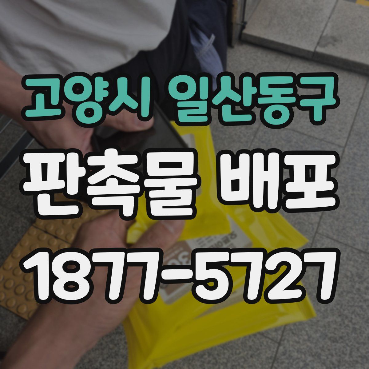 고양시 일산동구 판촉물 배포