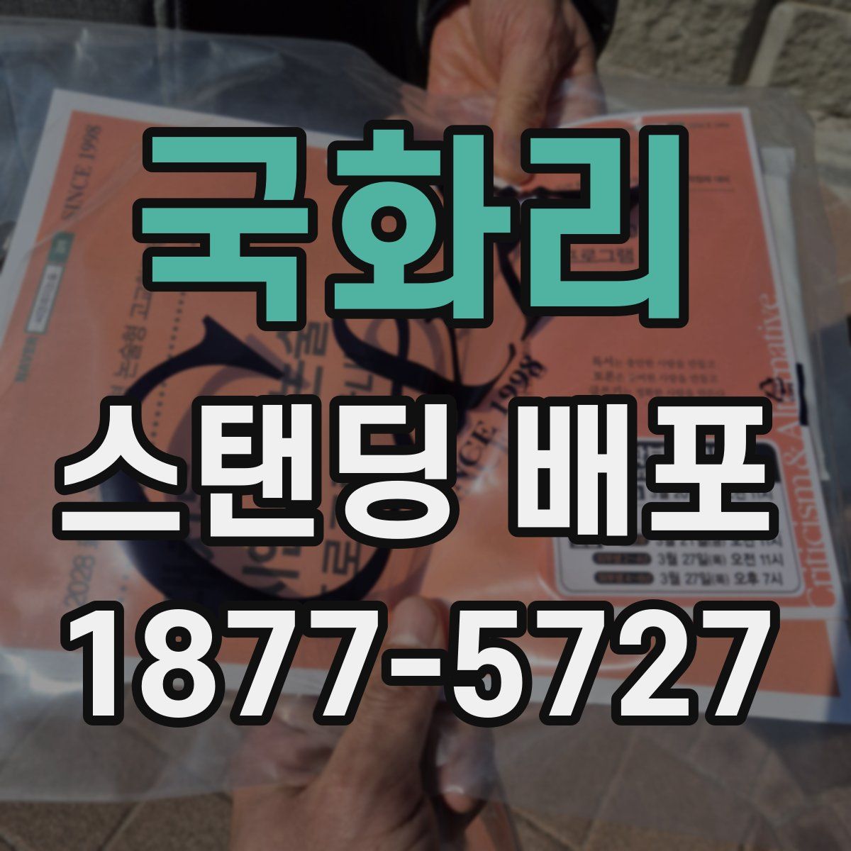 국화리 스탠딩 배포