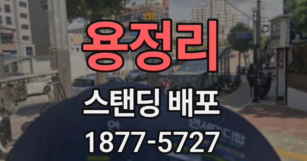 용정리 스탠딩 배포