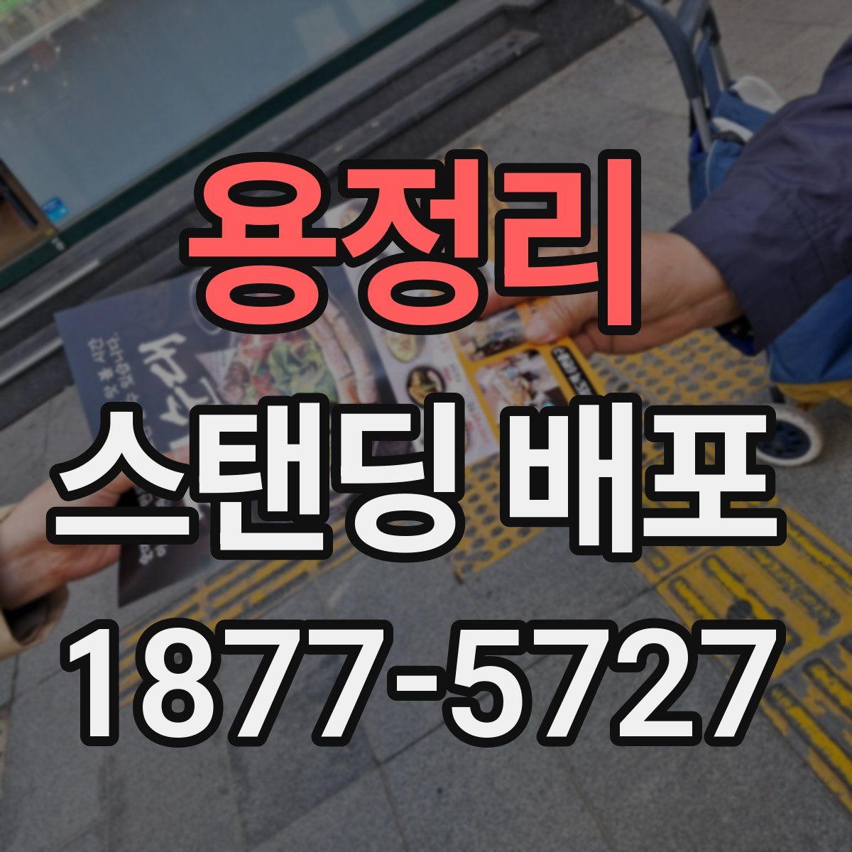 용정리 스탠딩 배포