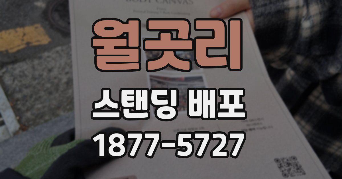 월곳리 스탠딩 배포