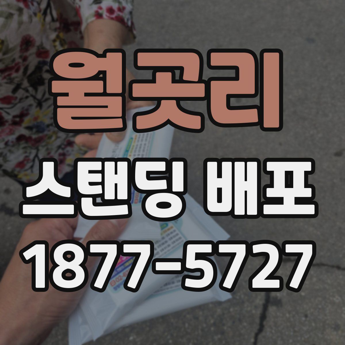 월곳리 스탠딩 배포