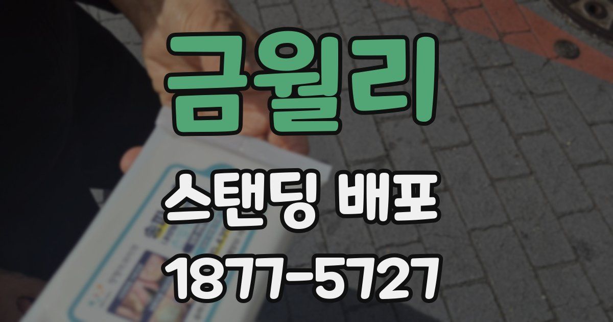 금월리 스탠딩 배포