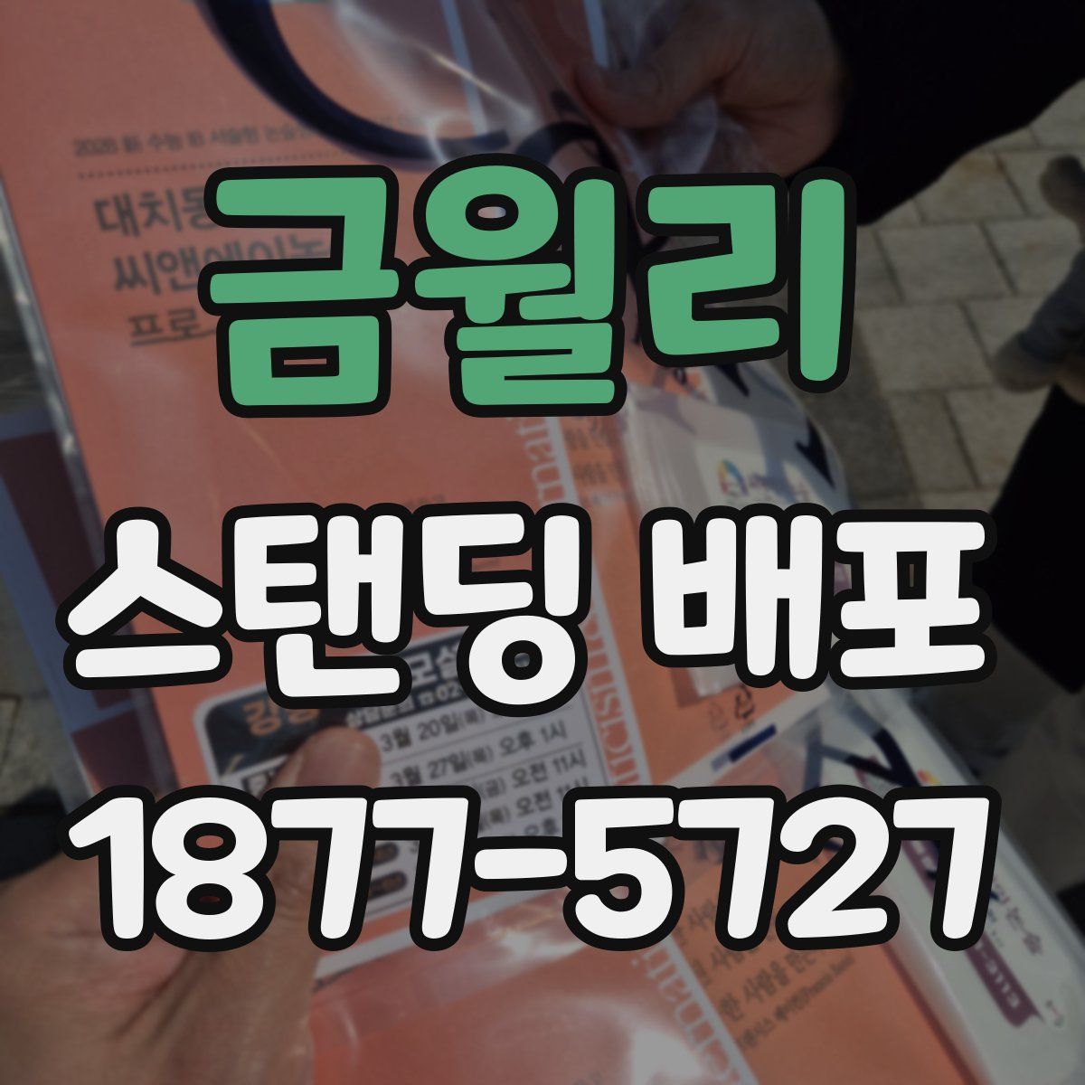 금월리 스탠딩 배포