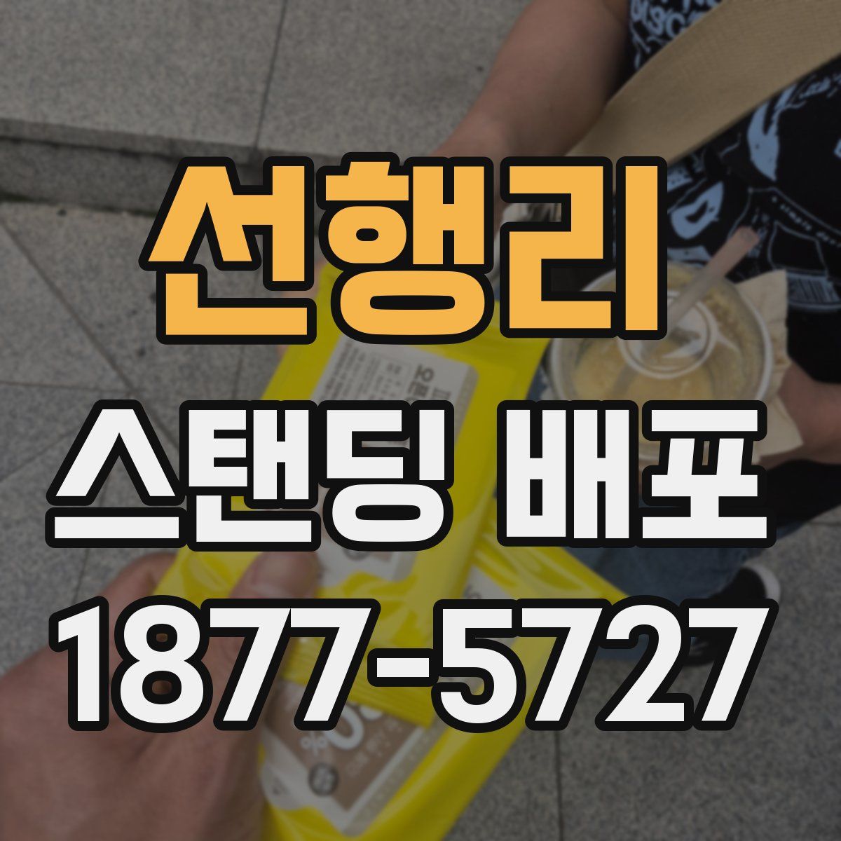 선행리 스탠딩 배포
