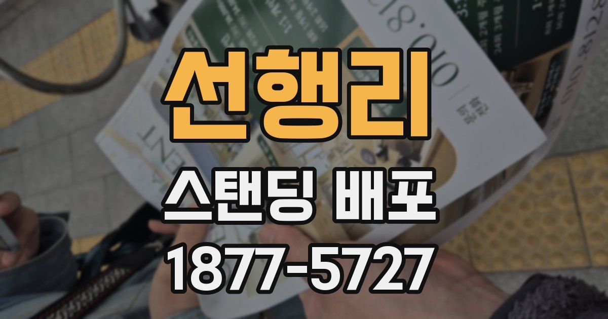 선행리 스탠딩 배포