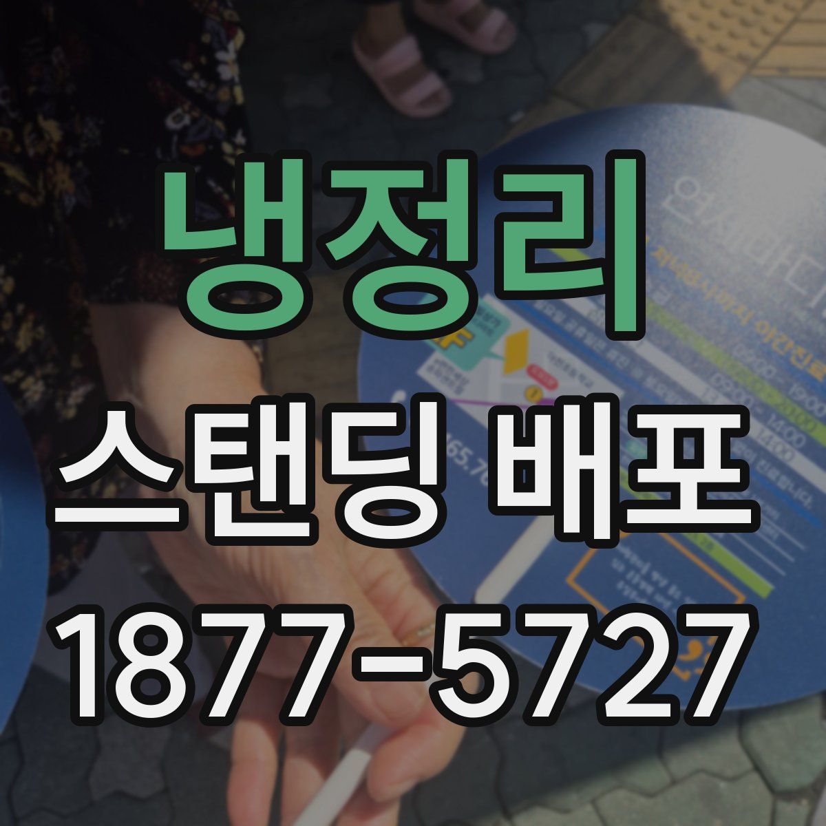 냉정리 스탠딩 배포